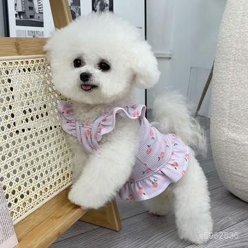 💯臺灣出貨💯免運💯狗狗裙子寵物衣服新款春秋夏天薄款公主裙茶杯犬泰迪比熊小狗貓咪 YIXB