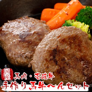 馬刺し 国産 熊本 ギフト 馬牛～んセット 手作り馬肉ハンバーグ 長崎和牛 壱岐牛ハンバーグ 900g 贈答 化粧箱小付き 馬肉 贈答 馬刺 純馬