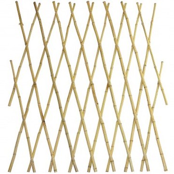 貴竹伸縮籬笆 H95cm