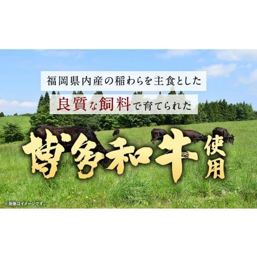 ふるさと納税 福岡県 太宰府市 博多和牛じっくり煮込んだビーフカレー レトルト 4人前