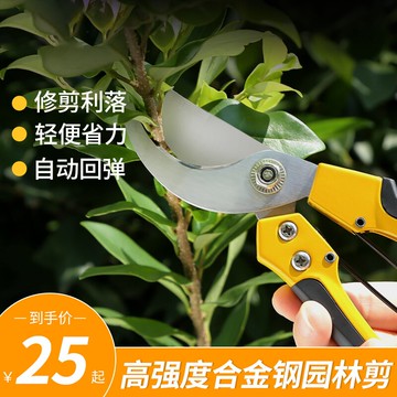 園藝剪刀剪花枝剪刀修剪花草剪子果樹修枝剪家用省力園林剪枝神器