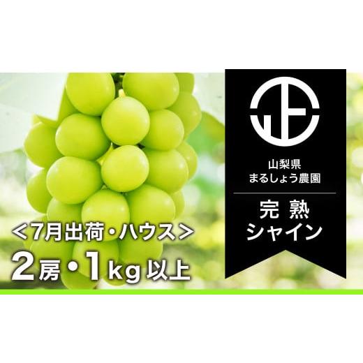 ふるさと納税 山梨県 笛吹市 ＜2024年先行予約＞ハウスシャインマスカット　2房1.0kg以上 098-009