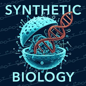 Engineering Genetic Circuits: Design