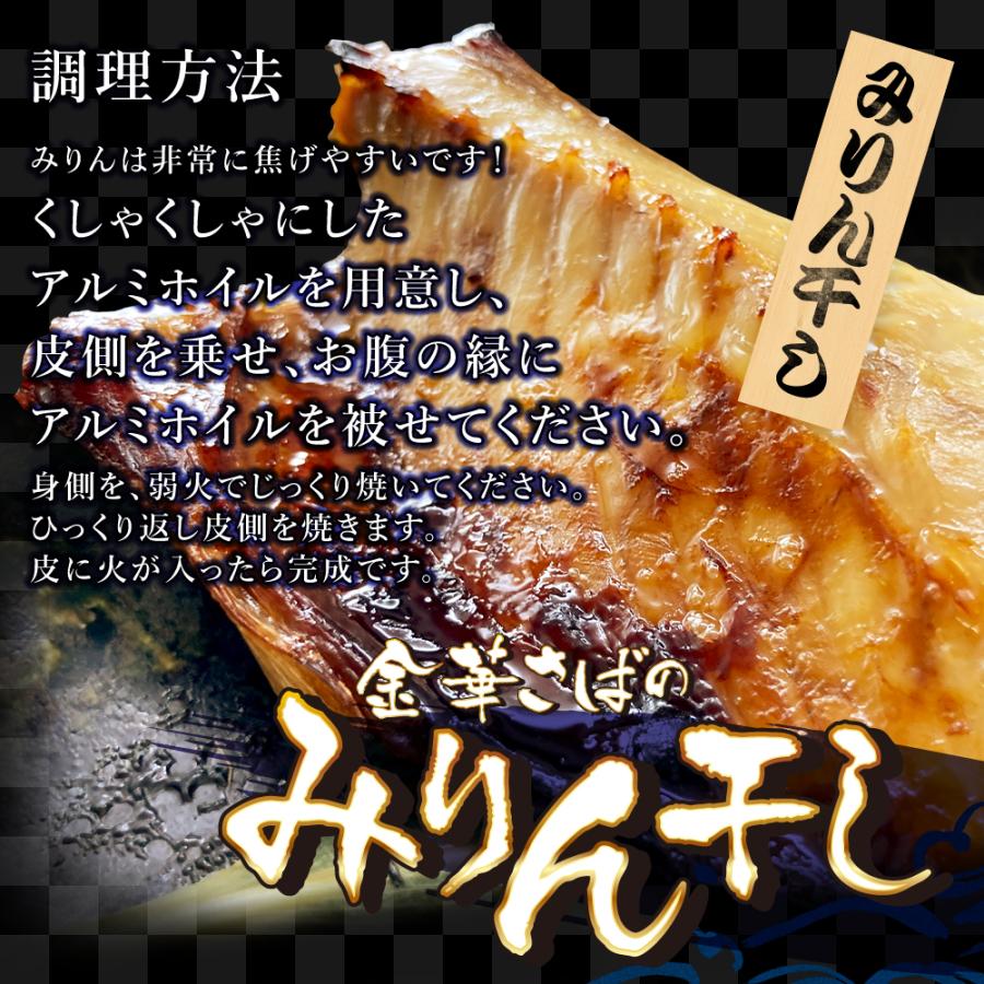 (b002-11)★新技法でさらに美味しい！★石巻港 認証品 宮城県産 金華さば 一夜干し＆みりん干し各5枚 計10枚セット無添加干物