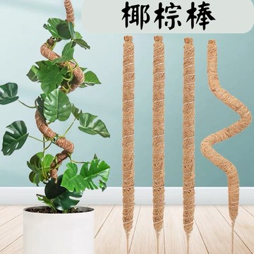 【台灣現貨-免運】椰棕棒 椰棒 攀爬棒 可彎曲 椰柱 植物攀爬棒 椰纖柱 椰纖棒 水苔棒 花盆 觀葉植物 爬藤植物