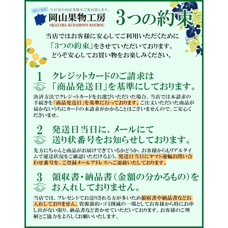 ＼ 2023 ギフト ／ 岡山県産 シャインマスカット入り３種詰合せパック 贈答用 ギフト 御中元 ぶどう ブドウ プレゼント 御礼 御祝 果物 フルーツ