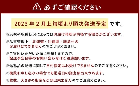  あまおう DX 約280g × 2パック 合計約560g いちご 苺 イチゴ フルーツ 果物