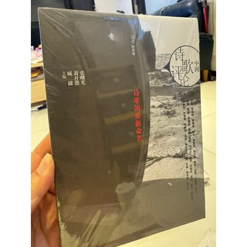 【823D-7】📕全新未拆封/絕版，《中國詩歌評論：詩歌的重新命名2012秋冬號》，張曙光、蕭開愚 主編、臻品齋書店