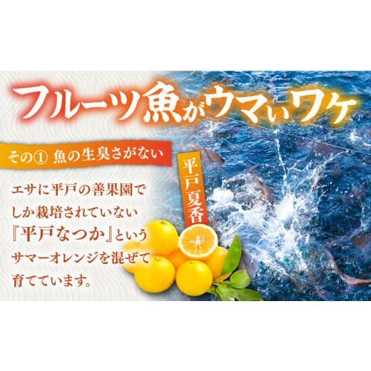 ふるさと納税 長崎県 平戸市 ヒラマサ（半身） 平戸なつ香 ヒラス 約1kg 平戸市 ／ 坂野…