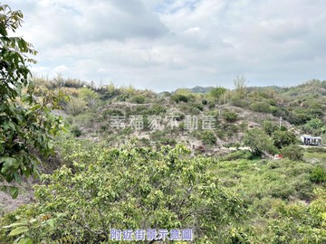 柳營有塊5分大休閒農地｜台南市柳營區果毅後段
