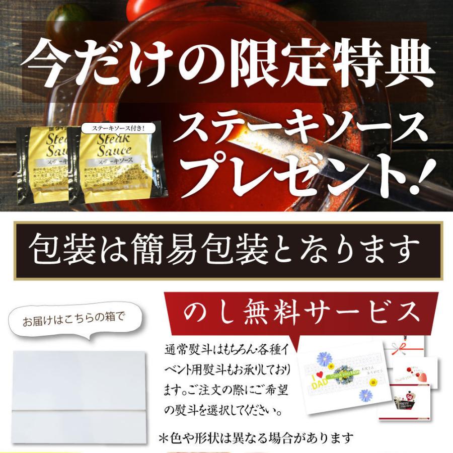 牛肉 ヒレ ステーキ 詰め合わせ 100g×20枚セット 赤身 牛 ヒレ肉 バーベキュー BBQ グルメ お歳暮 ギフト 食品 プレゼント キャンプ キャンプ飯