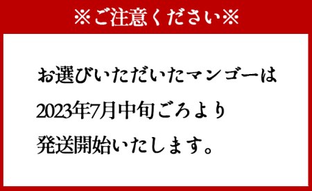 島マンゴー園 完熟マンゴー 2kg マンゴー フルーツ