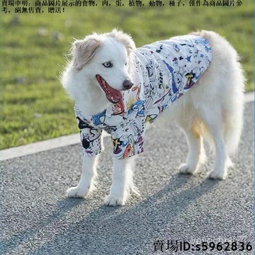 【台灣免運】大型犬寵物衣服炸街款邊牧薄款襯衫防掉毛剃毛夏季金毛薩摩耶夏天