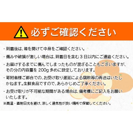 ふるさと納税 訳あり≪数量限定≫海藻木酢不知火(計7kg以上)傷み補償分200g付き　フルーツ　果物　柑橘　みかん　国産 BA59-23 宮崎県日南市