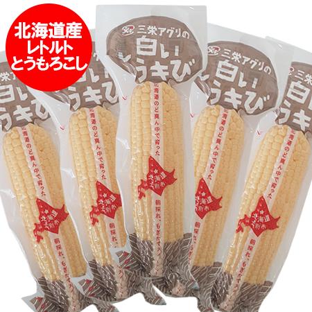 レトルト ホワイトコーン とうもろこし 送料無料 白いとうもろこし レトルトコーン 北海道 トウモロコシ ホワイトショコラ スイートコーン 真空パック 5本セット