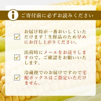 もぎたて発送！山梨県産 ヤングコーン 30本