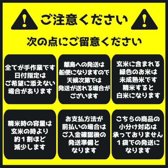 迫田興産 伊佐米ひのひかり 精米 5kg メーカー直送　代引 同梱不可