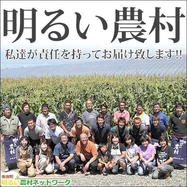 とうもろこし あまいんです 6本(冷蔵便) 北海道産 朝採り トウモロコシ とうきび 南幌町明るい農村ネットワーク ギフト 送料無料 お取り寄せ