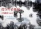 從空中看地球：大地觀察366天（精裝－特價990元）[二手書_普通]