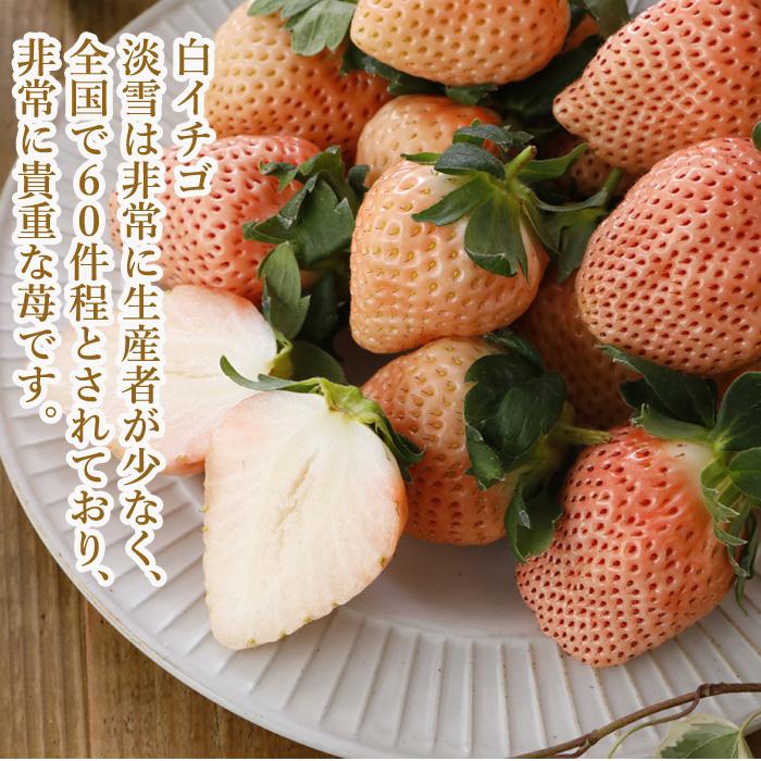 1月〜2月分予約 減農薬 愛媛産 いちご 紅白 詰め合わせ 400g 12〜18粒 化粧箱入 苺 イチゴ 産地直送 あまおとめ あまえくぼ 紅ほっぺ 紅い雫 淡雪