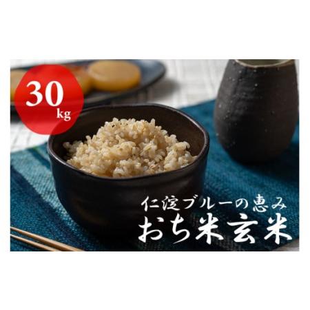 ふるさと納税 仁淀ブルーの恵み「おち米」（玄米）30kg 高知県越知町