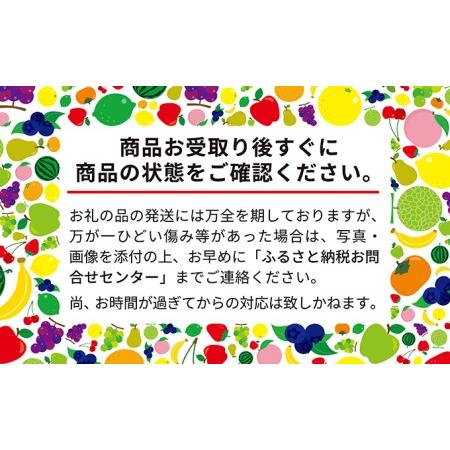 ふるさと納税 先行予約 農園の加工用 ブルーベリー 約2kg 北海道 仁木町産 北海道仁木町