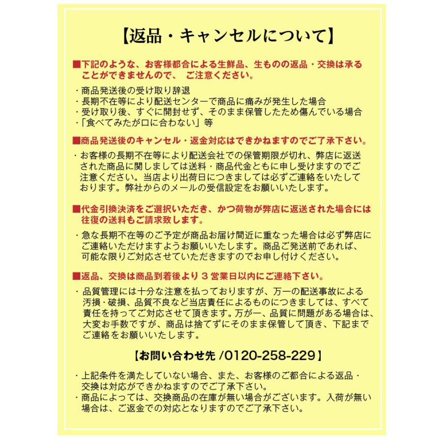 御中元 九州  メロン アールスメロン 秀品 ２L ２玉 熊本県産 温室 送料無料 高級メロン 産直 フルーツ 果物 甘い S常