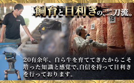 宮崎牛切り落とし500g_AA-6510-2402_(都城市) 宮崎牛 切り落とし スライス すき焼き しゃぶしゃぶ 牛丼など 500g 250g×2P