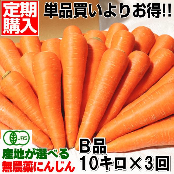 無農薬人参 ジュース用に最適 定期購入 産地が選べる無農薬にんじんＢ品10キロ×3回 計30キロ 訳あり 送料無料