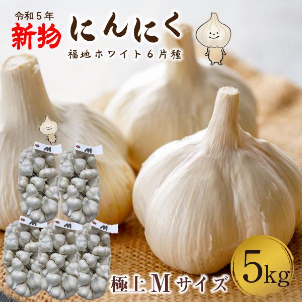 青森 にんにく5kg Mサイズ 約100玉 福地ホワイト6片 国産 ニンニク 新物 送料無料 Y常