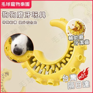 【邊吃邊玩👍】狗狗TPR潔牙骨 漏食玩具 藏食玩具 狗狗玩具 寵物玩具 狗玩具 耐咬玩具 磨牙玩具 益智玩具 磨牙潔齒棒