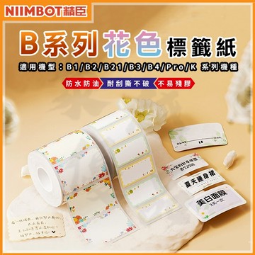 《台灣代理商公司貨》B21S/B21/B21Pro/B1/B3S/B31 花色貼紙P3 標籤貼紙 精臣 營養標示 精臣貼