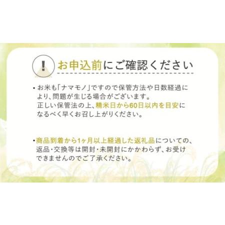 ふるさと納税 玄米 30kg 新米 特別栽培米つや姫 令和5年産 2023年産 山形県尾花沢市産 ja-tsgta30 ※沖縄・離島への配送不可 山形県尾花沢市