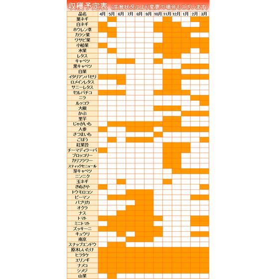 お歳暮 野菜 詰め合わせ 納得セット 農薬不使用 訳あり 不揃い 送料無料