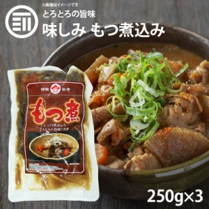 [前田家]  九州の味 とろとろもつ煮込み 250gx3パック 国内製造 モツ煮 ホルモン 煮込み料理 レトルト 惣菜 煮物 おかず 常温 食品 おつ