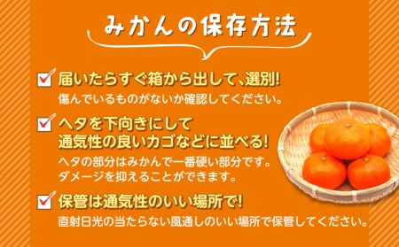 予約受付  みかん 青島 3kg 減農薬 送料無料 西浦 蜜柑 柑橘 オレンジ