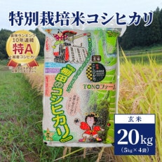 令和5年産 新潟上越清里産 特別栽培米コシヒカリ20kg(5kgx4袋) 玄米