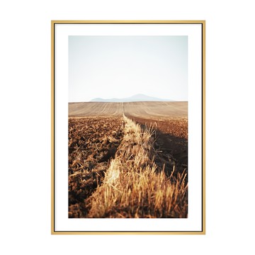 秋收II  40 x 30cm  木色