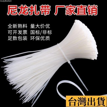 🌈台倉出庫🌈 黑白色自鎖式尼龍紮帶條大中小號塑料綫束帶拉緊器一次性紮帶 4INX