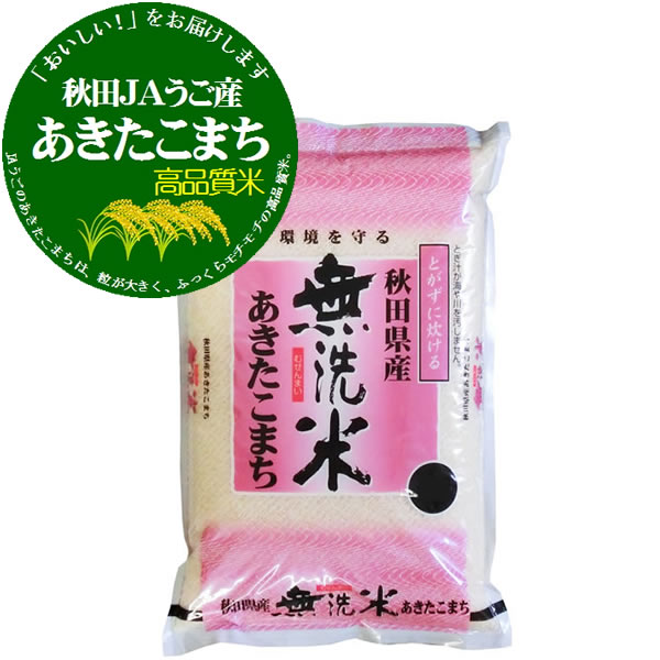 新米 無洗米 令和5年産 南秋田内陸産 あきたこまち 5kgx4袋 (保存包装 選択可)