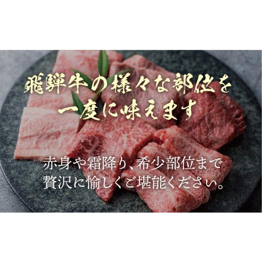 ふるさと納税 岐阜県 飛騨市 焼肉 6種食べ比べ 希少部位 各100g 計600g 牛肉 肉 部位おまかせ 赤身 霜降り和牛 ギフト 贈り物 飛騨市