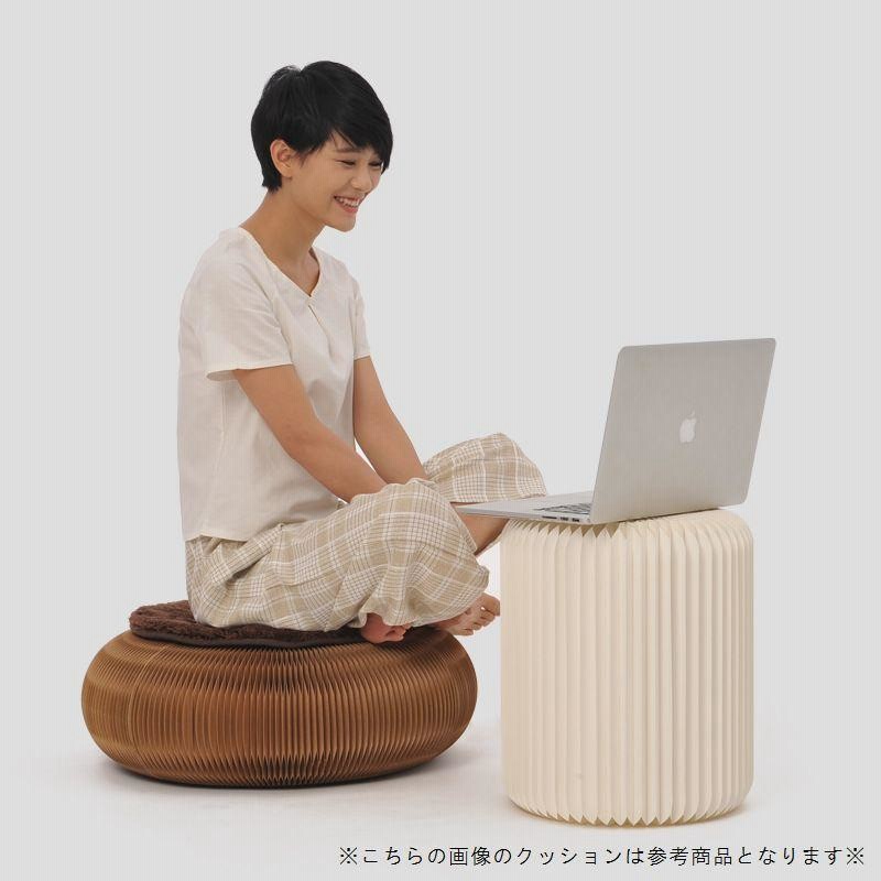おまけ付き！ カモノハシペリー 特大 クッション スツール おまけ付き！ カモノハシペリー 特大 クッション スツール