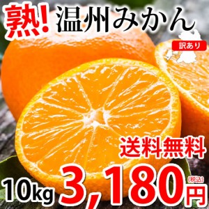 みかん 10kg 送料無料 訳あり 温州みかん 送料無料 S～3L 熊本県産 熊本みかん 訳ありみかん 蜜柑 ミカン