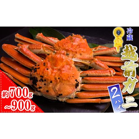 ふるさと納税 越前ガニ(約700g〜900g) 2杯 黄色タグ付 福井県南越前町