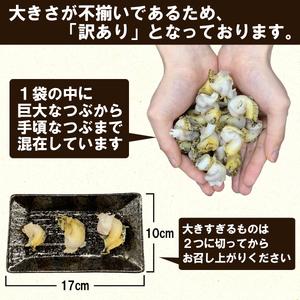 ふるさと納税 北海道鹿部町産 訳あり ”前浜ボイルつぶ ” 2kg  灯台つぶ（500g×4袋）つぶ貝 ツブ貝 海鮮 海産 刺身 事業者.. 北海道鹿部町