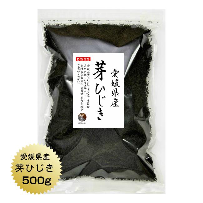 ひじき 芽ひじき 500g 愛媛県産 国産 産地から原料を買付け自社製造で仕上げた一品 業務用