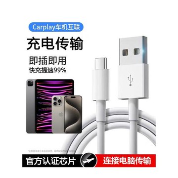 iPad數據線pro平板air45連接電腦mini6快充10代刷機usb充電線器適用蘋果iPhone15plus手機max車載carplay傳輸