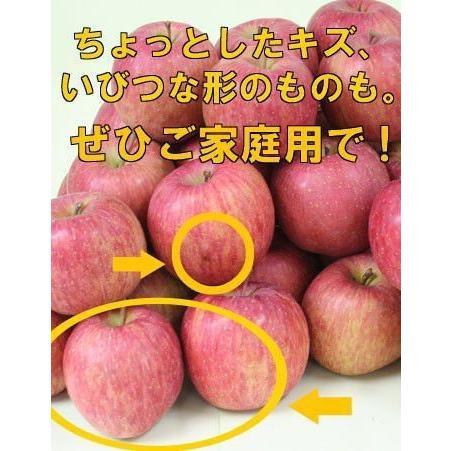 りんご 訳有り 送料無料 山形県産 小粒ふじりんご 優品 10kg （40-50玉入） ※小傷色ムラ変形あり