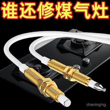 1月現貸✈️燃氣竈點火針煤氣竈具維修配件大全通用打火器萬能感應銅針嵌入式 HPW4