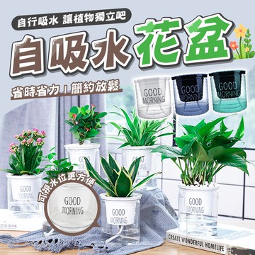 【台灣現貨⚜️品質保證】懶人花盆 花盆 自動吸水花盆 透明 懶人盆栽 小花盆 園藝 盆栽容器 自吸水不須澆水